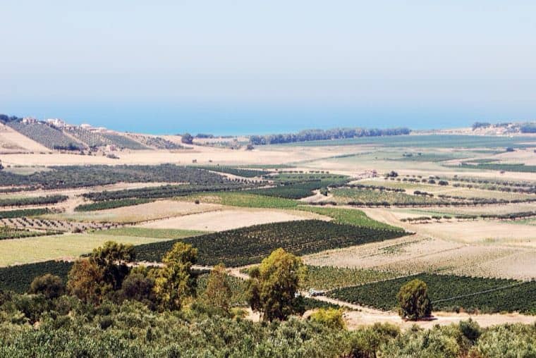 La campagna iblea che scende verso il mare